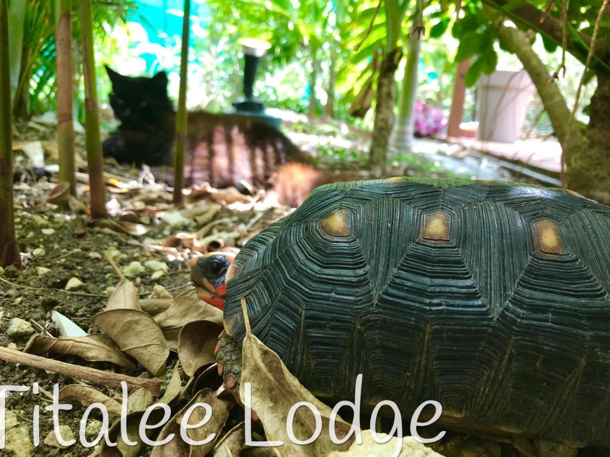 Titalee Lodge Saint-Francois  Buitenkant foto